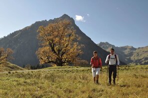 Wandern in den Allgäuer Alpen zur Schwarzenberg Hütte