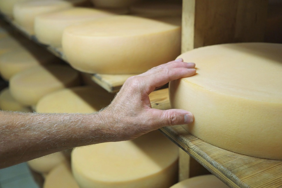 Erleben wie Allgäuer Käse hergestellt wird - beim Ausflug in eine Sennerei