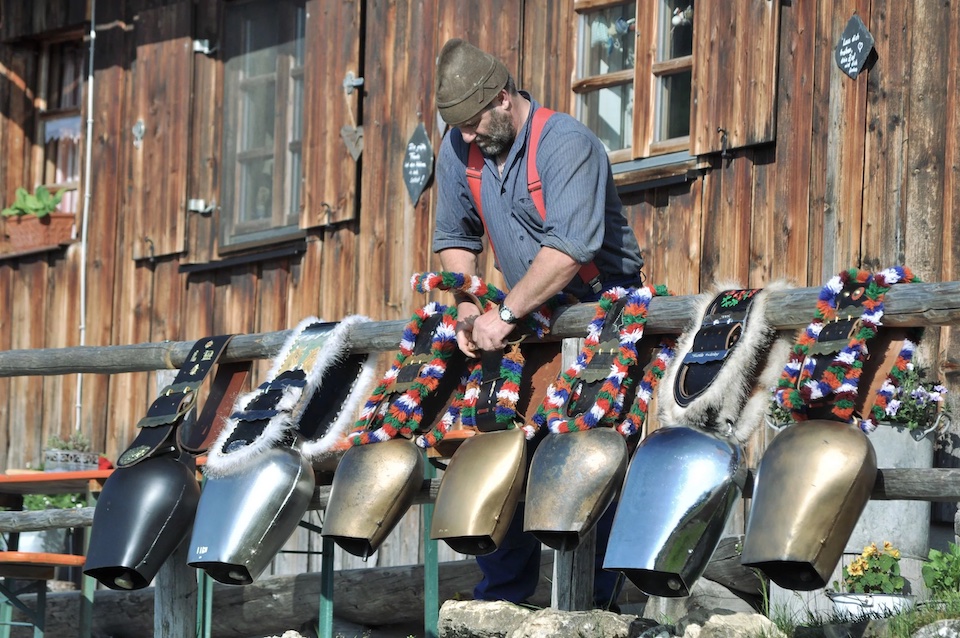 Traditioneller Almabtrieb in Bad Hindelang im Allgäu mit Kuhschellen